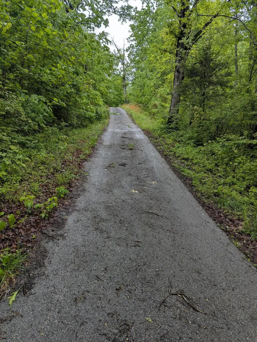 10970 Mcwhorter Road, London, KY 40741 - #2