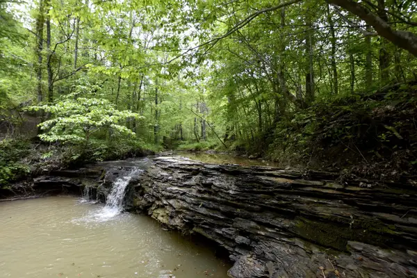339 Cow Creek Road, Ravenna, KY 40472