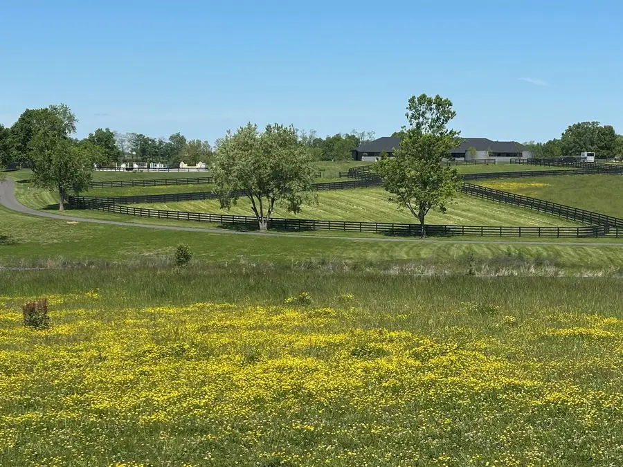 10 Acres Mt. Horeb Pike, Georgetown, KY 40324 - #2