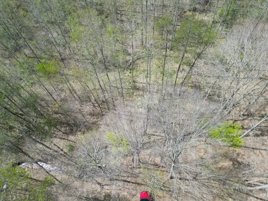 9999 Lot-mud Creek Road, Williamsburg, KY 40769 - #2