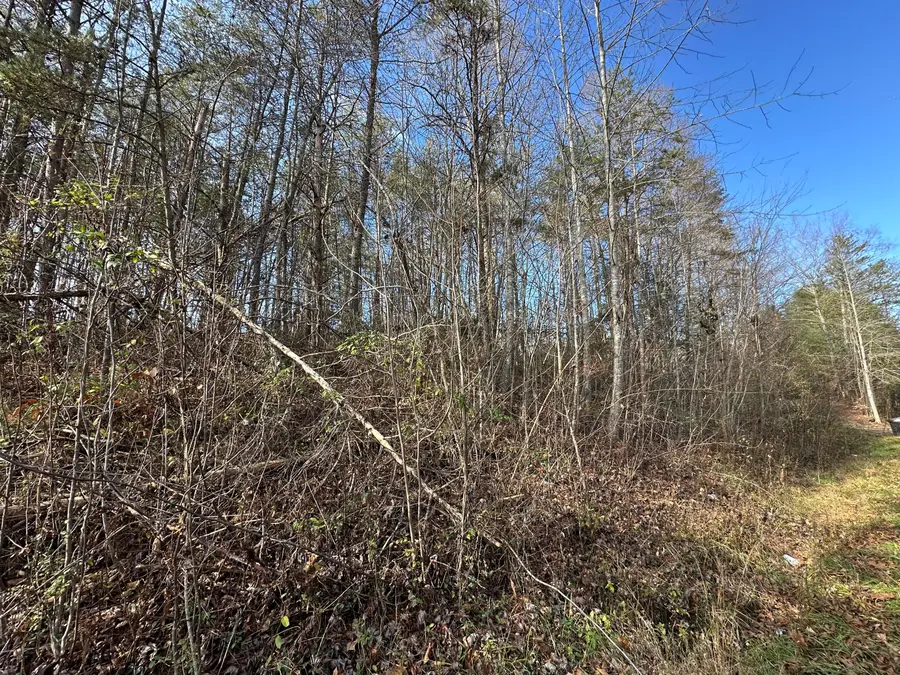 0 Hemlock Subdivision Road, Williamsburg, KY 40769 - #3