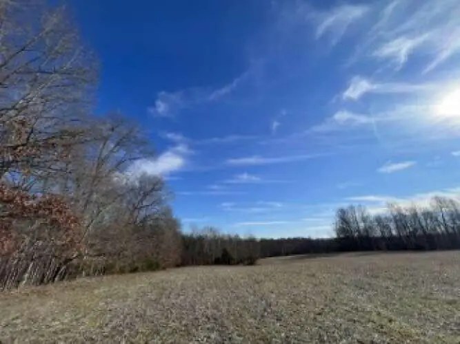 210 Singleton School Road, Eubank, KY 42567 - #2
