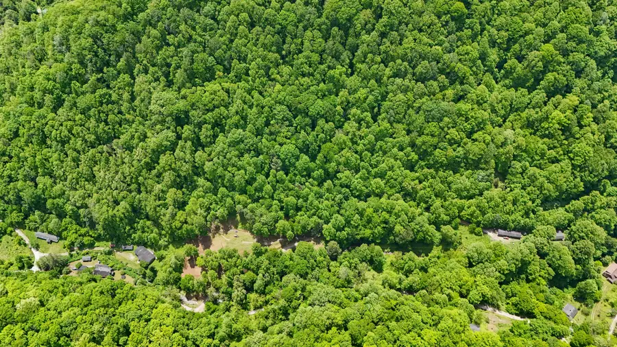 237 Sams Branch Road, Warbranch, KY 40874 - #3