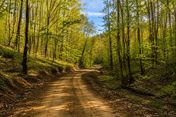 0 Blackstone Mountain Phase Ii Tract 72, Manchester, KY 40962