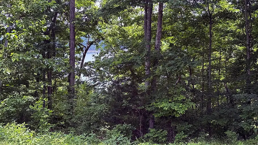 Lot 47 Cumberland Shores, Monticello, KY 42633 - #2