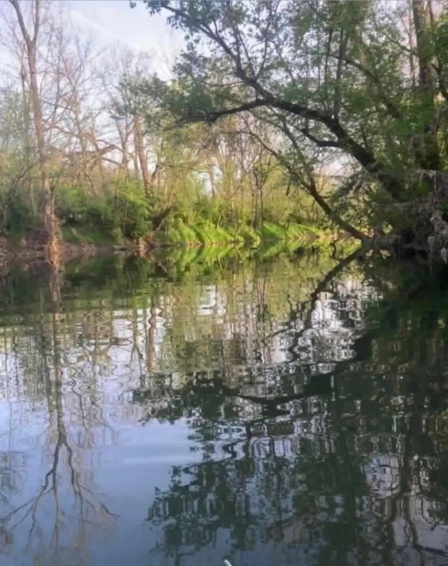 2900 Winchester Road, Paris, KY 40361 - #3