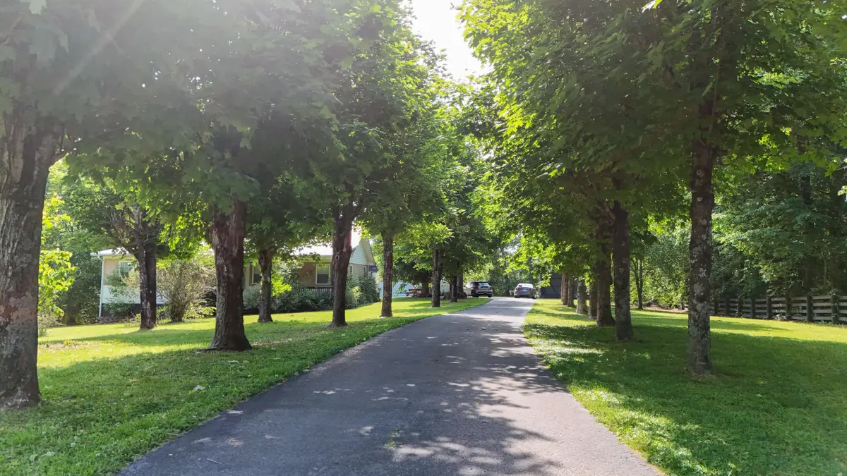 160 Dean King Road, Pine Knot, KY 42635 - #1