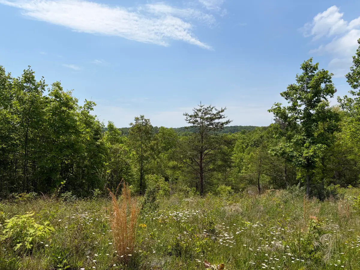 0000 Sandhill Road, Whitley City, KY 42653 - #1