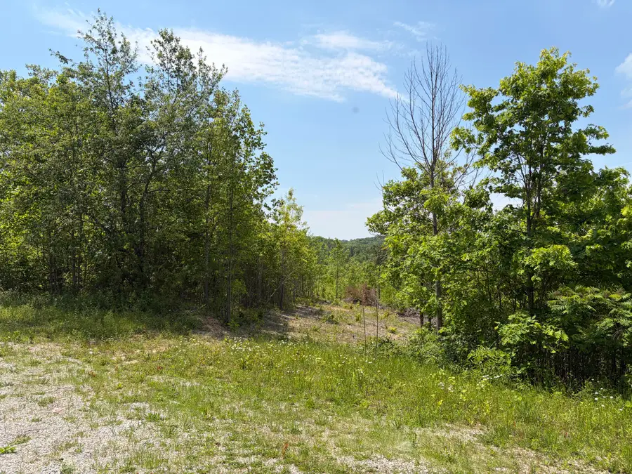 0000 Sandhill Road, Whitley City, KY 42653 - #3