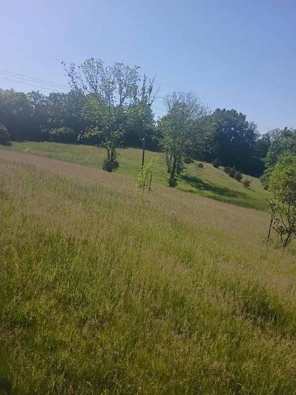 142 Plantation Drive, Richmond, KY 40475