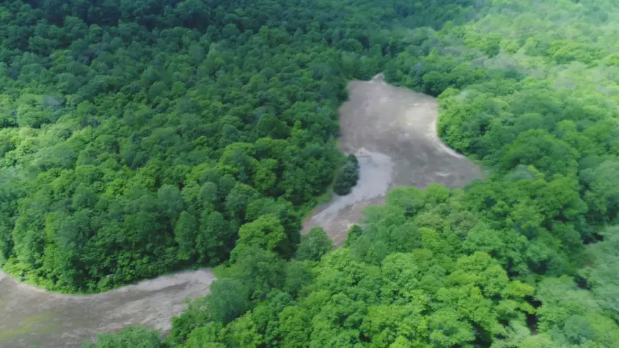 4570 Pointer Creek Road, Nancy, KY 42544 - #2