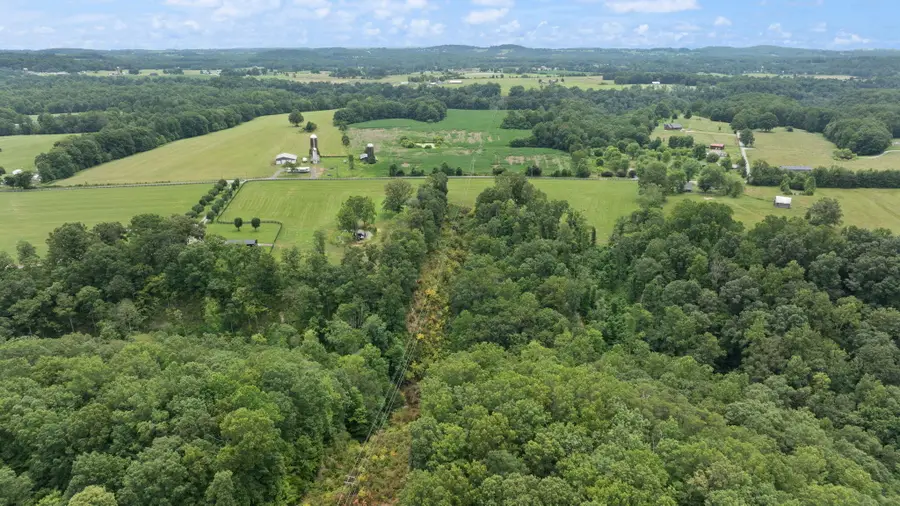 13.7 Acres  Flatwoods Road, Nancy, KY 42544 - #3