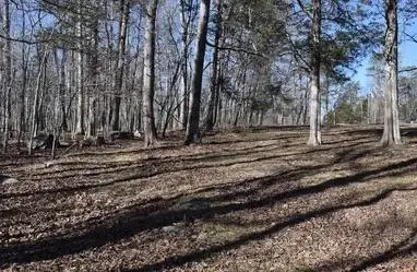 4100 Omega Park Road, Somerset, KY 42501 - #2