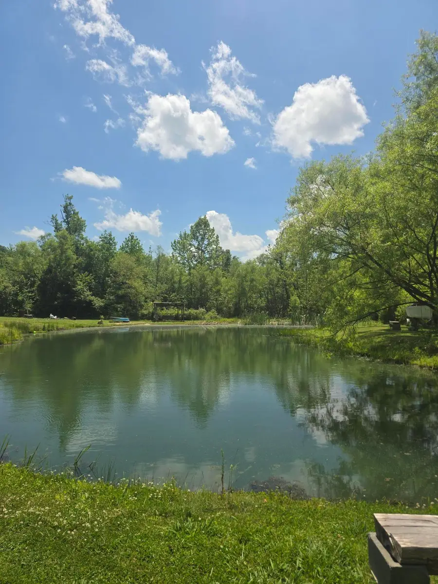 5425 S Ky 233, Gray, KY 40734 - #2