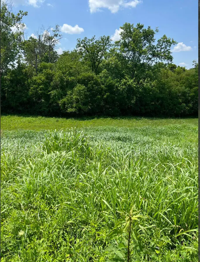 128 Oak View Drive, Mount Sterling, KY 40353 - #1