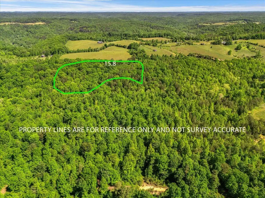 2222  Watt Nantz Road, East Bernstadt, KY 40729 - #2