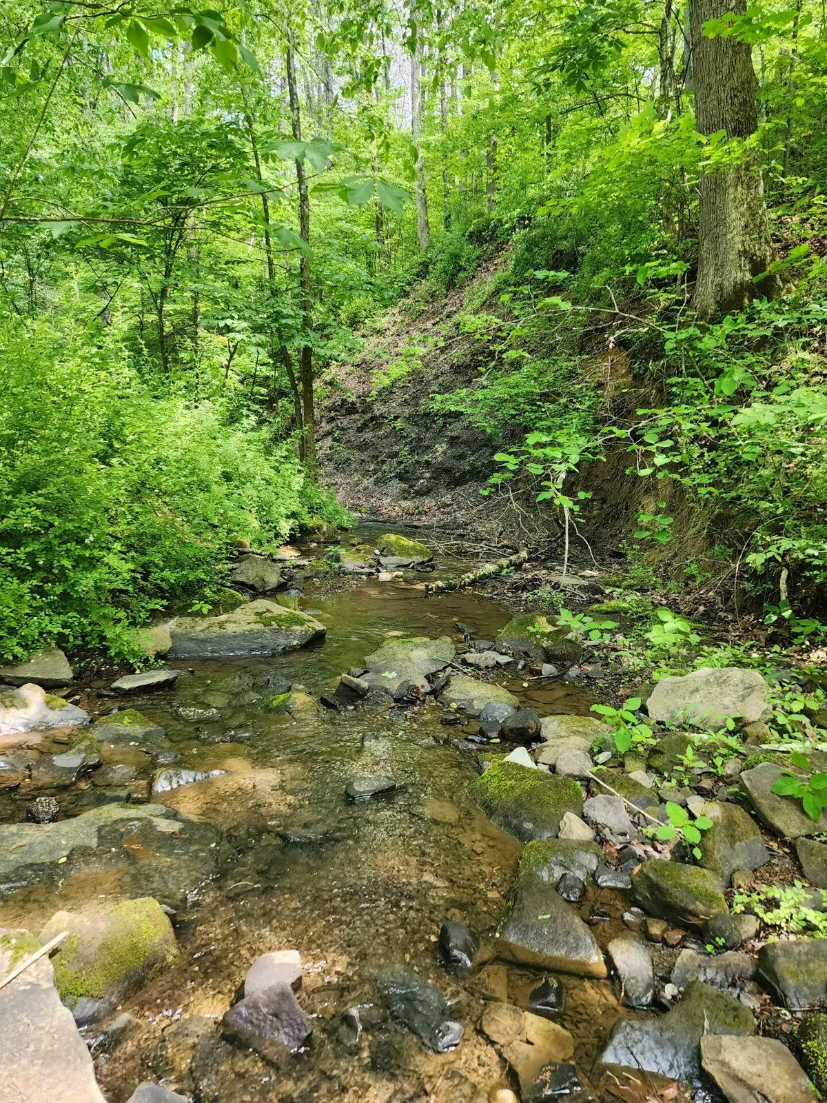TBD Mount Zion Church Road, East Bernstadt, KY 40729 - #1