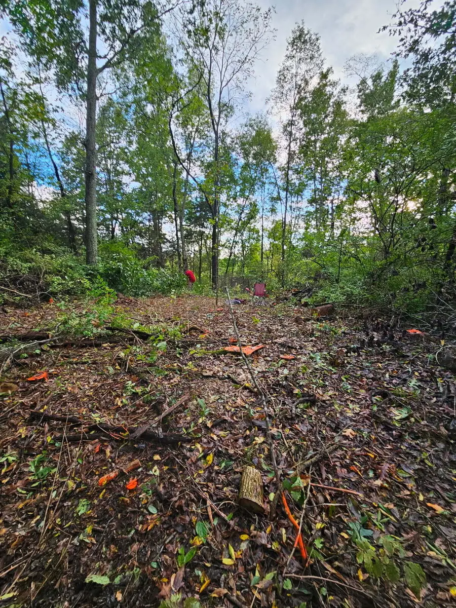 9999 Entrance Drive, Corinth, KY 41010 - #3
