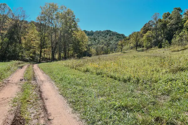 601 Hackworth Hollow Road, Vanceburg, KY 41179