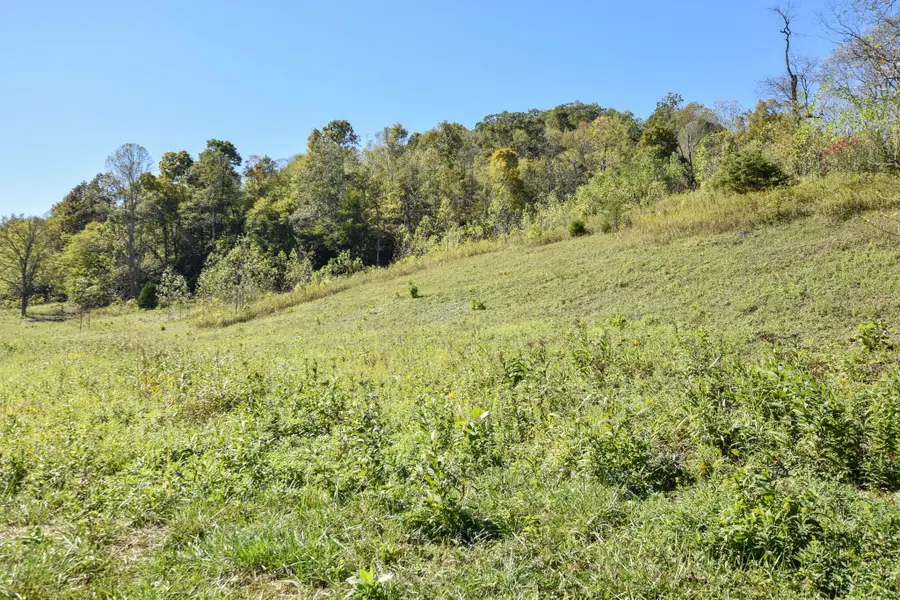 601 Hackworth Hollow Road, Vanceburg, KY 41179 - #3