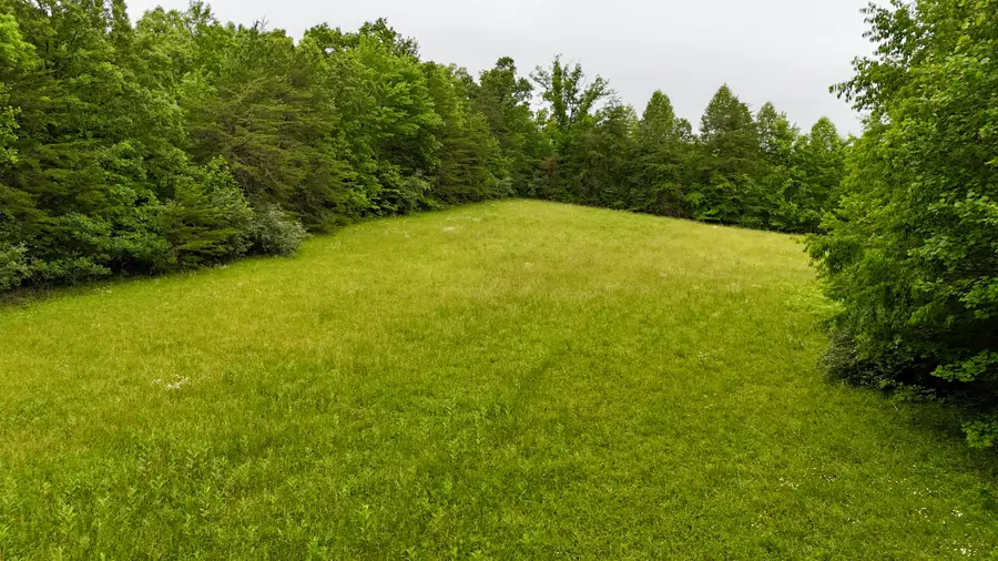 9999 Auger Springs Road, Corbin, KY 40701 - #3