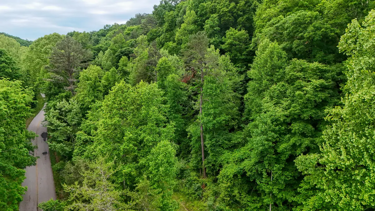 8295 State Highway 1003, Somerset, KY 42501 - #1