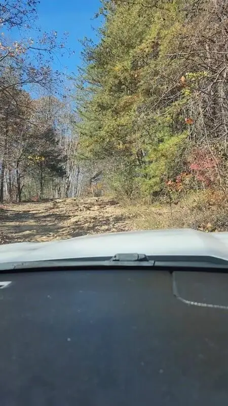 1022 Lime Plant Hollow Road, Mount Vernon, KY 40456 - #3