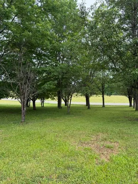 1111 Browning Acres Road #Lot 9, Corbin, KY 40701 - #2