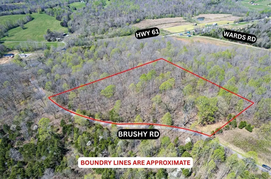 0 Brushy Road, Mount Sherman, KY 42764 - #3