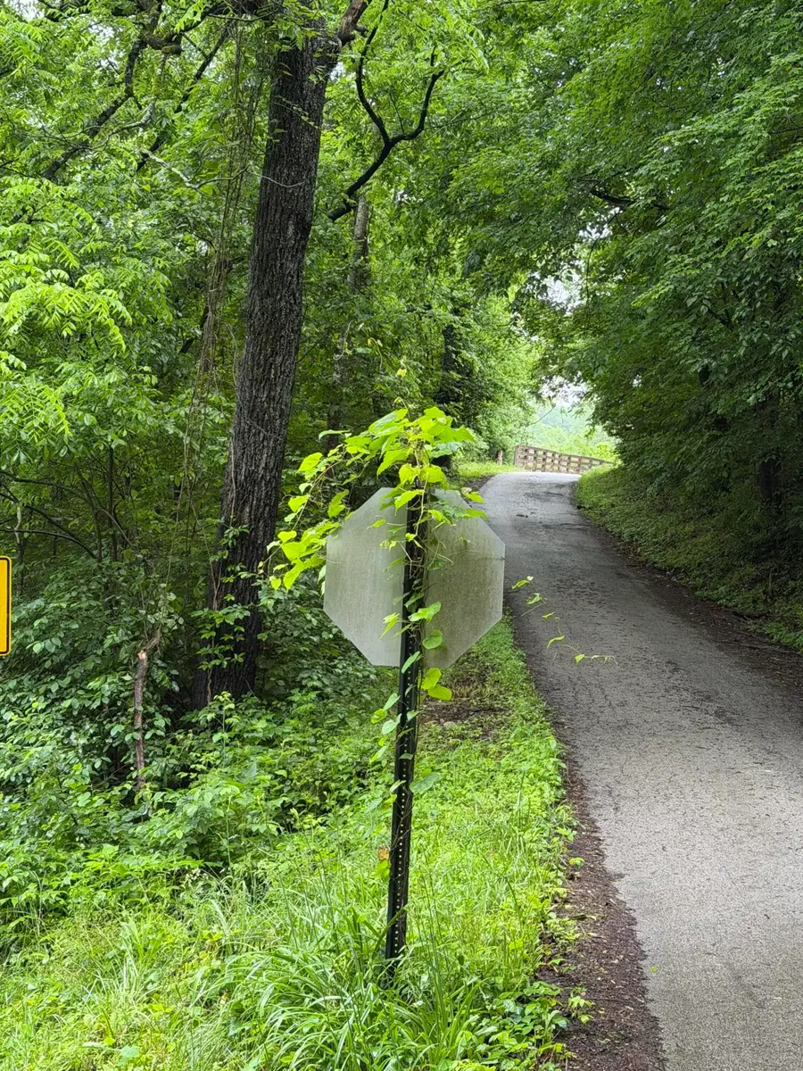 265 Town Branch Road, Mount Vernon, KY 40456 - #3