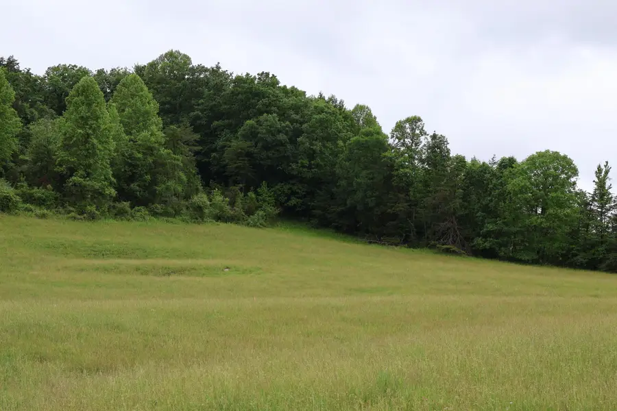 4135 Big Andy Ridge Road #Tract 4, Rogers, KY 41365 - #3