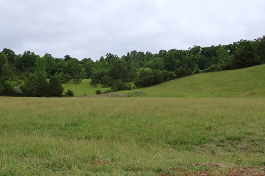 4135 Big Andy Ridge Road #Tract 5, Rogers, KY 41365 - #3