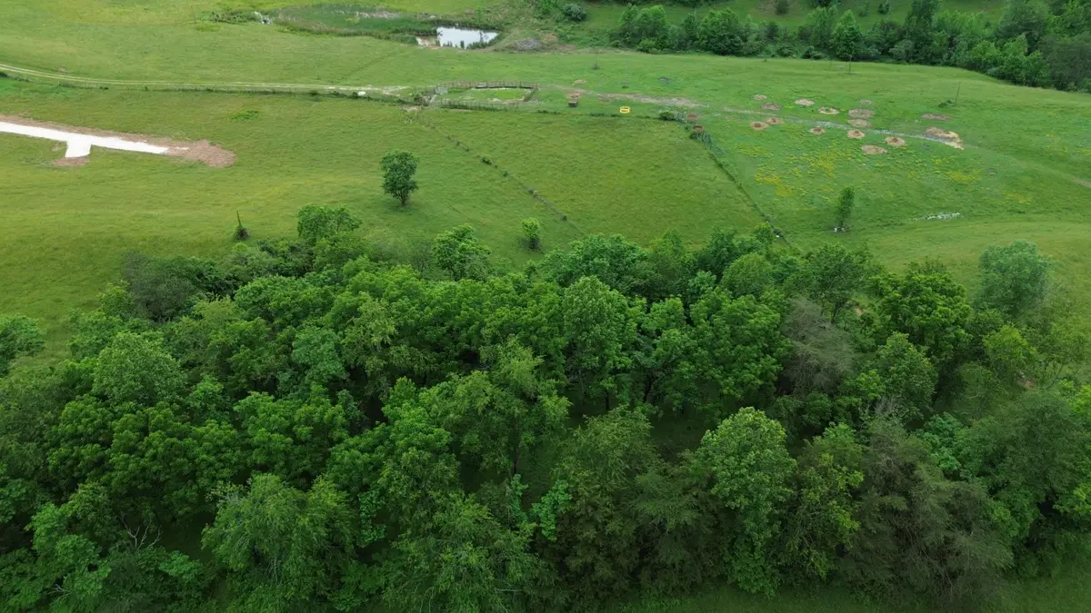 4135 Big Andy Ridge Road #Tract 9, Rogers, KY 41365 - #1