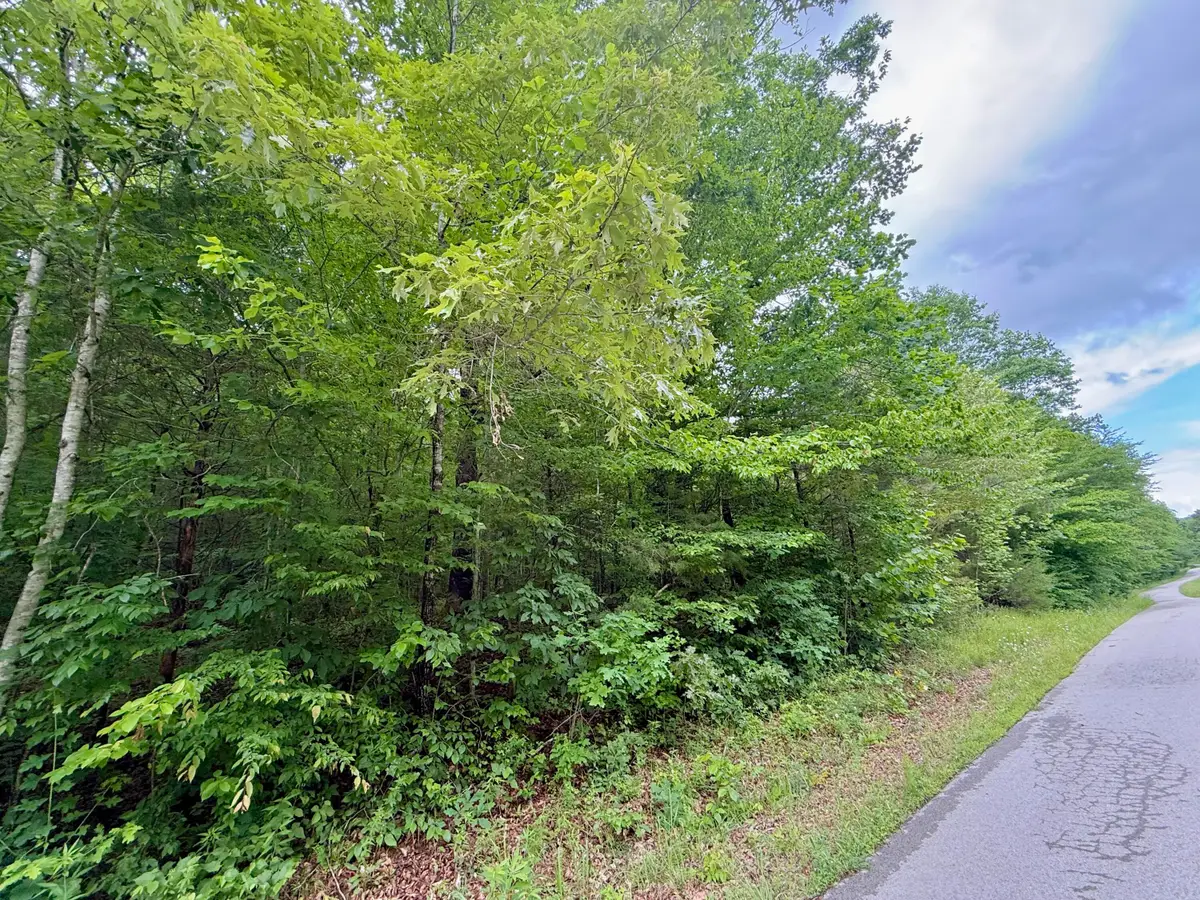 1200  Owens Branch Road, Dunnville, KY 42528 - #1