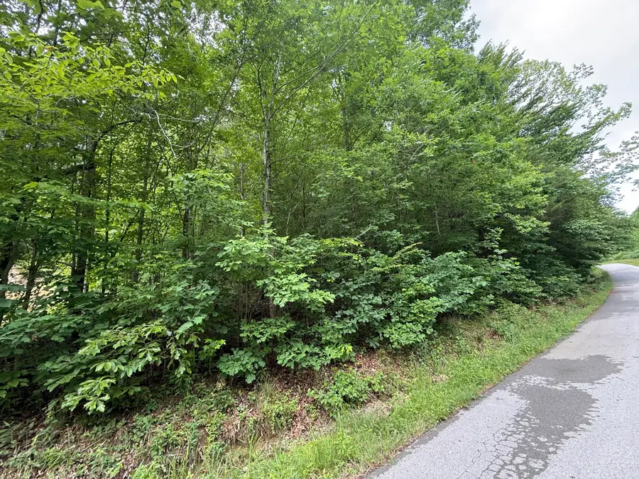 1200  Owens Branch Road, Dunnville, KY 42528 - #2