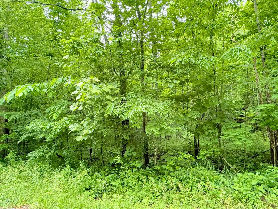 1350 Owens Branch Road, Dunnville, KY 42528 - #3