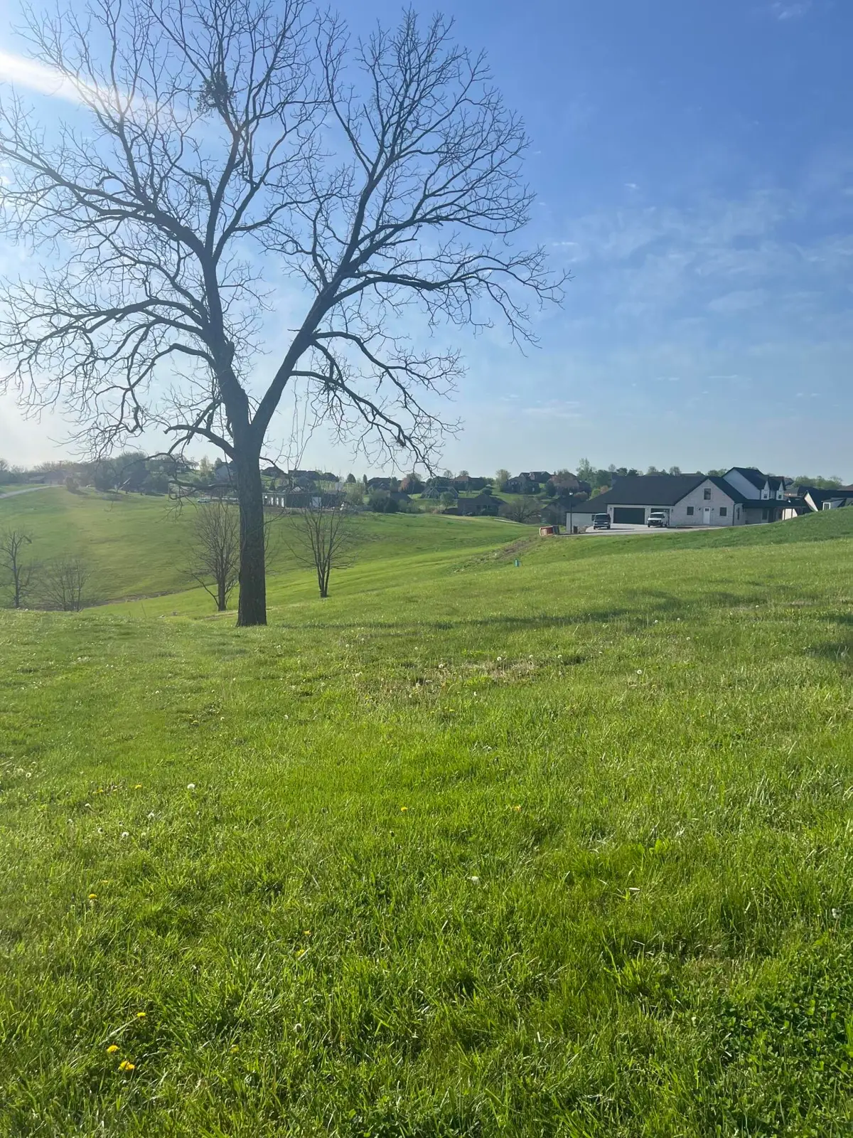 304 Prestwick Circle #149, Richmond, KY 40475 - #1