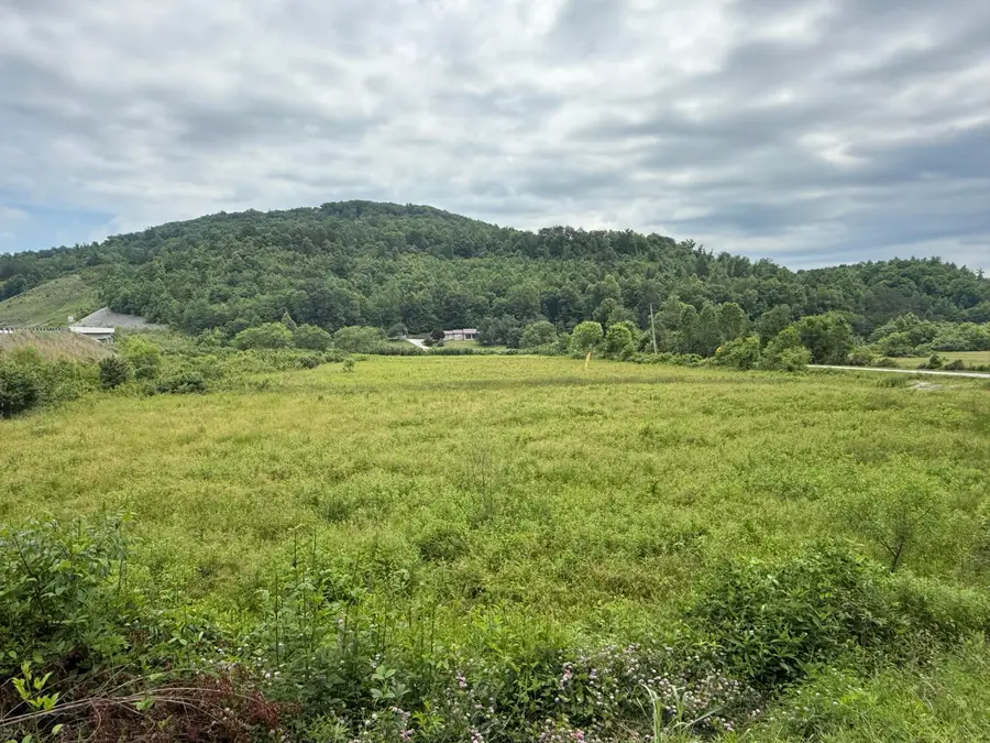 31 Hayes Creek Rd, Pine Knot, KY 42635 - #2