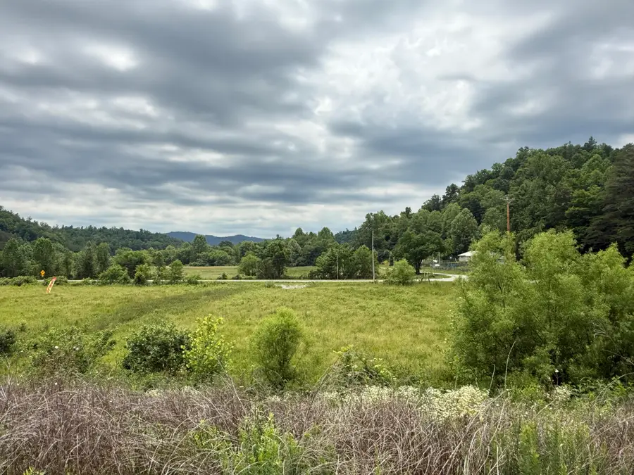31 Hayes Creek Rd, Pine Knot, KY 42635 - #3