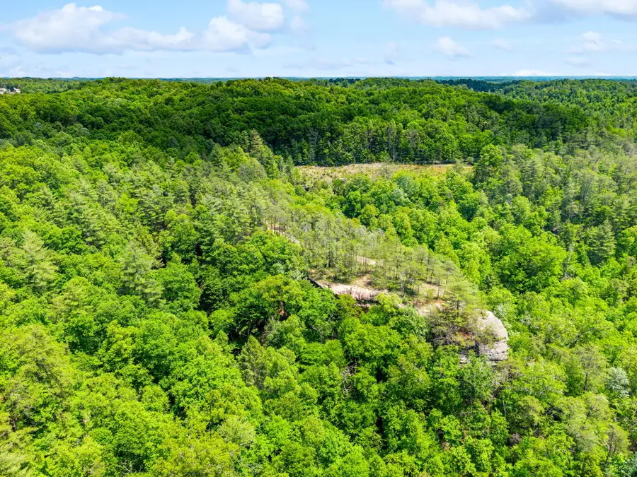 Lot 256 Cedar Bluff Street, Zoe, KY 41397 - #3