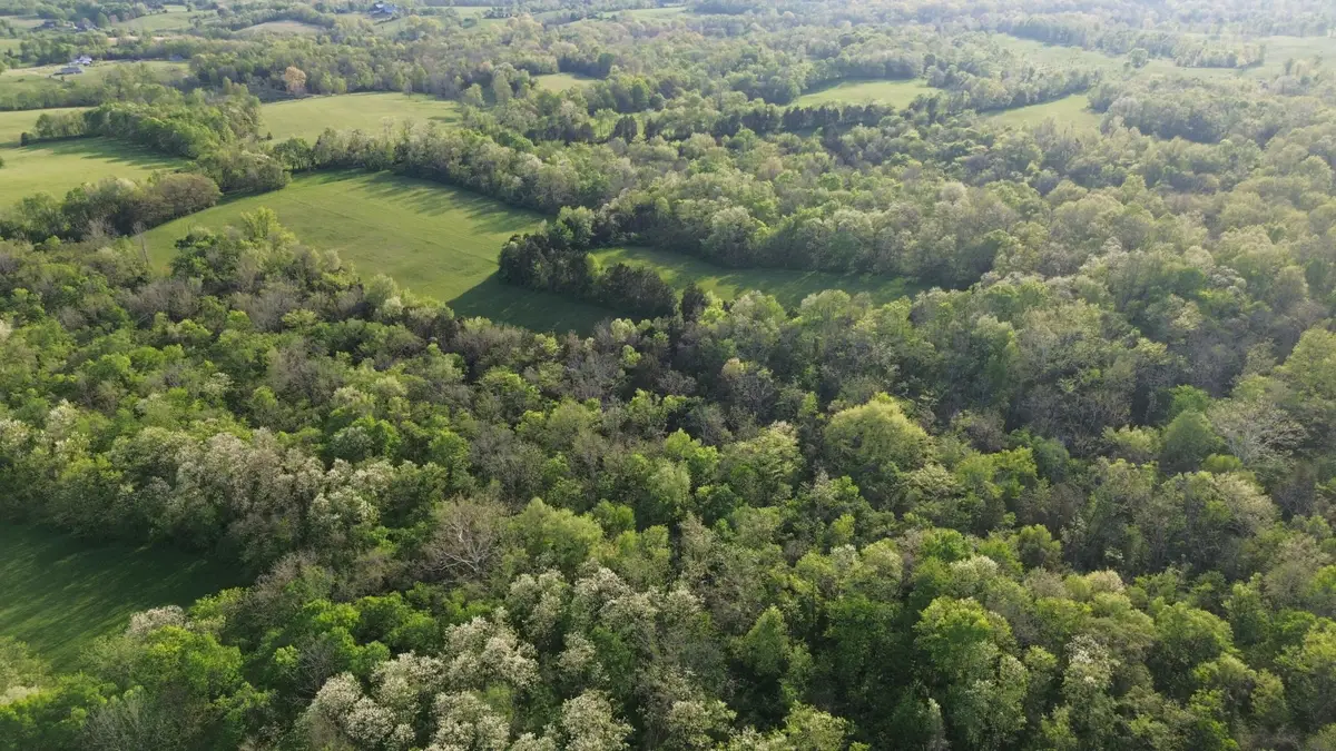 9999 Cedarmore Road, Bagdad, KY 40003 - #1