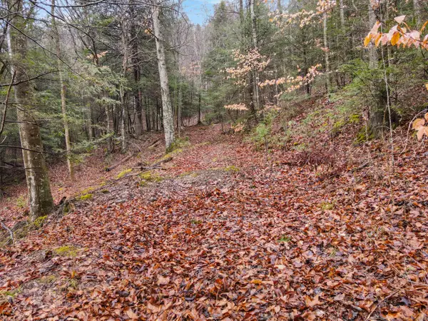 0 0 South Fork Road, Stanton, KY 40380