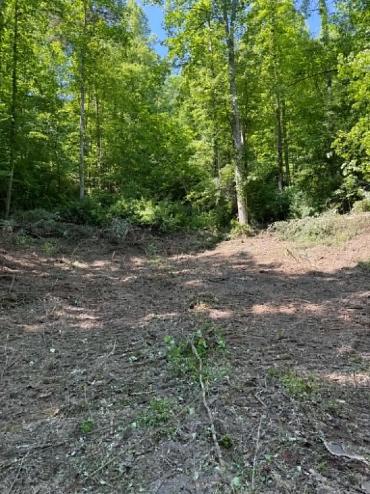 0 Ky-706 Road, Sandy Hook, KY 41171 - #1