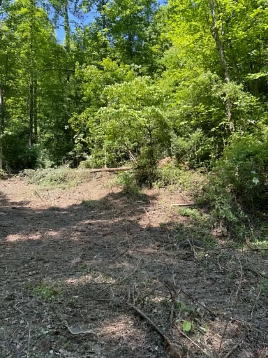 0 Ky-706 Road, Sandy Hook, KY 41171 - #2