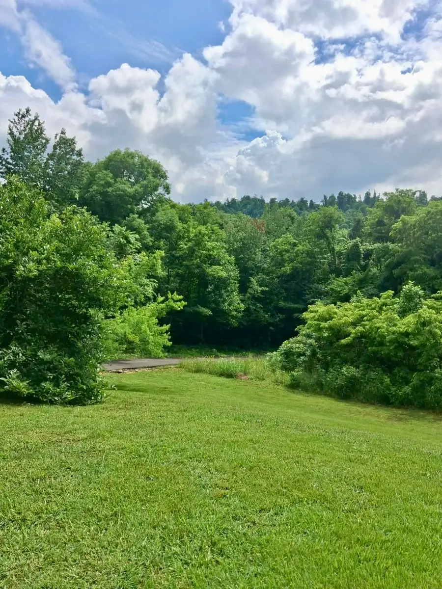 1493 Missouri Hollow Road, Monticello, KY 42633 - #2