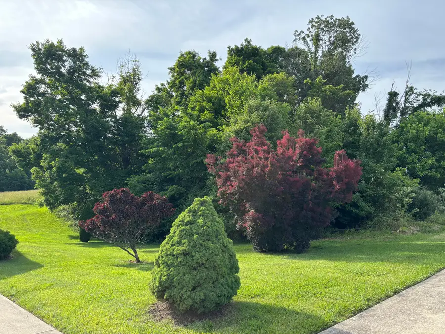 175 Maple Ridge Street #lot 24, Crittenden, KY 41030 - #3