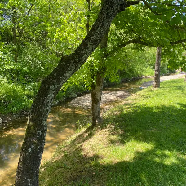 780 Skillet Branch Road, Owingsville, KY 40360