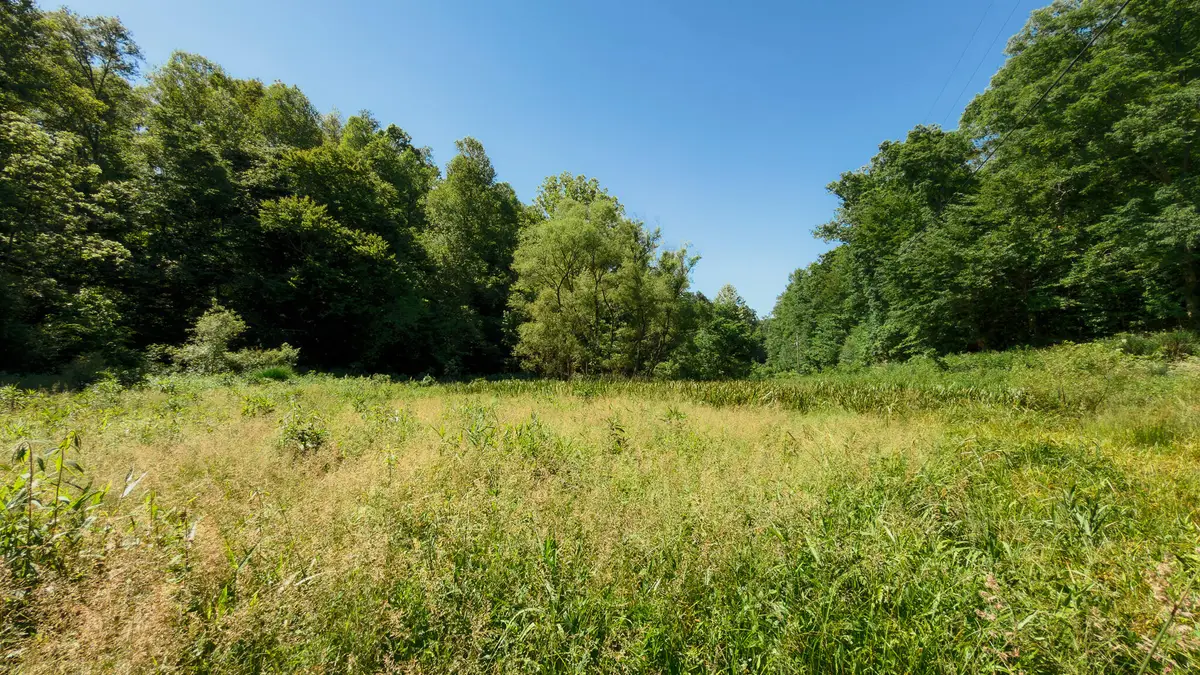 820 Shooting Fork Road, Campton, KY 41301 - #1