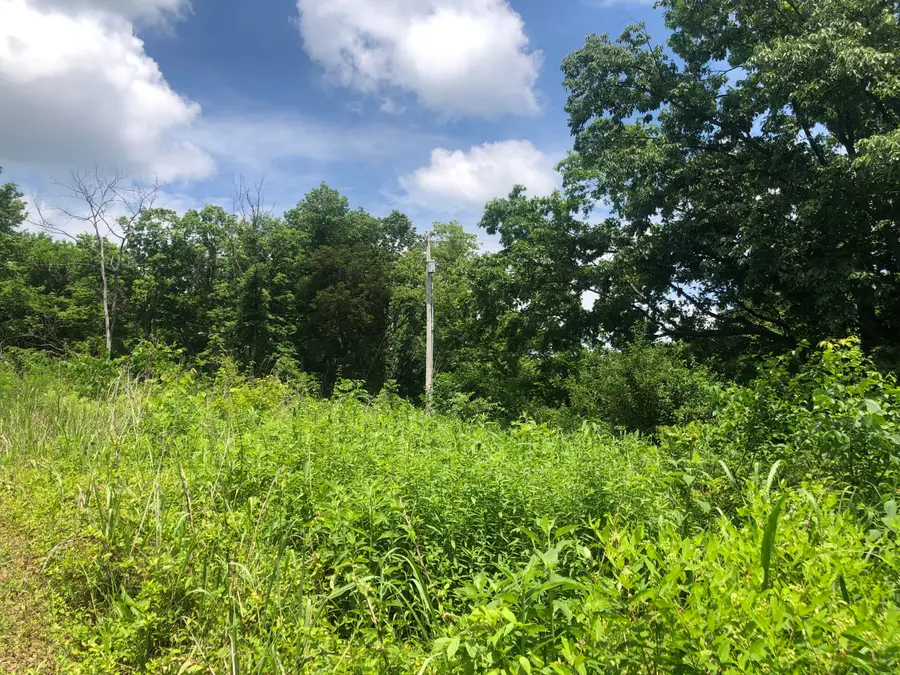 2.2 Acres Tract 1 Lock Road, Lawrenceburg, KY 40342 - #3