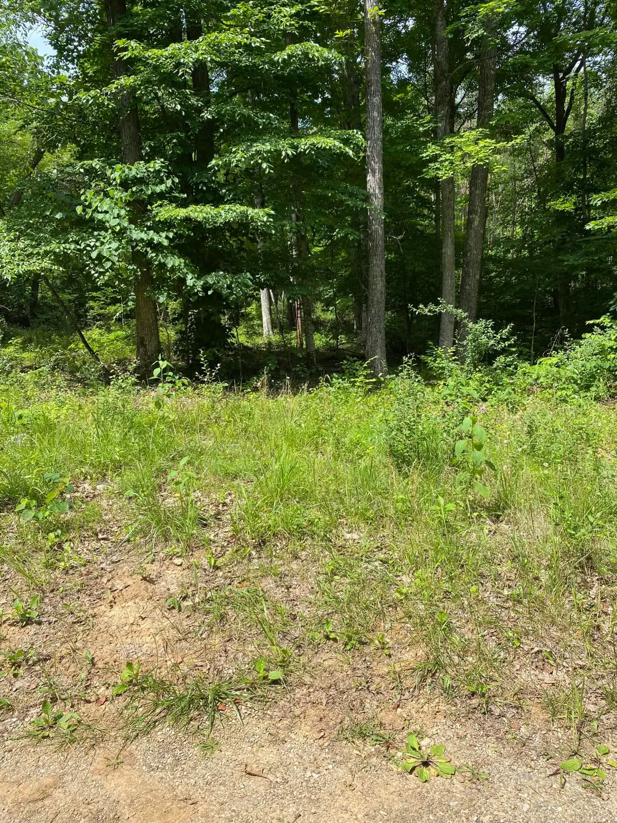 0 S Maugham Drive, Burnside, KY 42519 - #1